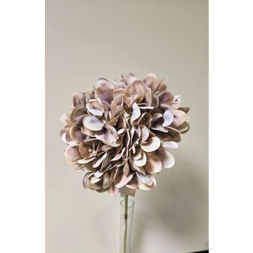 Fleur artificielle Hortensia MANDISA, beige-rose, 65cm