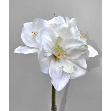 Fleur décorative Amaryllis MARKUNO, crème-blanc, 60cm