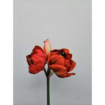 Fleur artificielle Amaryllis MAURINE, rouge, 80cm