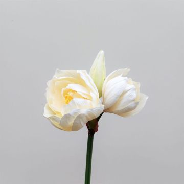 Fleur artificielle Amaryllis MAURINE, crème-jaune, 80cm