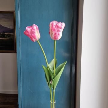 Fleur artificielle Tulipe PJASSINA, rose foncé-crème, 65cm