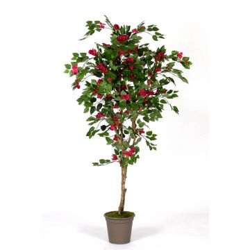 Faux bougainvillier ISMUNDE, tronc en bois véritable, fleurs, rose fuchsia, 180cm - Made in Italy