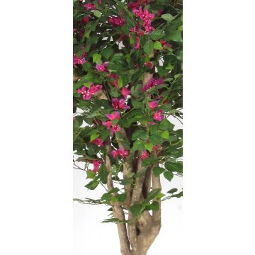 Bougainvillée artificielle IRMELOTTE, tronc en bois véritable, fleurs, rose fuchsia, 175cm - Made in Italy