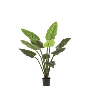 Calathea rufibarba artificiel NUSAKAN, vert, 120cm