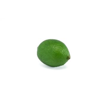 Fruit artificiel Lime NANGA, vert, 6cm