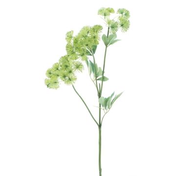 Branche décorative Carotte sauvage FLAWA, vert clair, 65cm