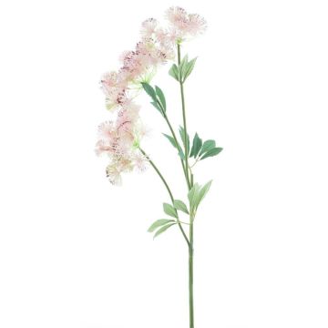 Branche décorative Carotte sauvage FLAWA, rose-vert, 65cm