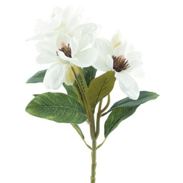 Branche artificielle Magnolia DANSA, blanc, 35cm