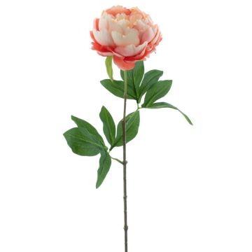 Pivoine artificielle TALFY, rose-crème, 65cm