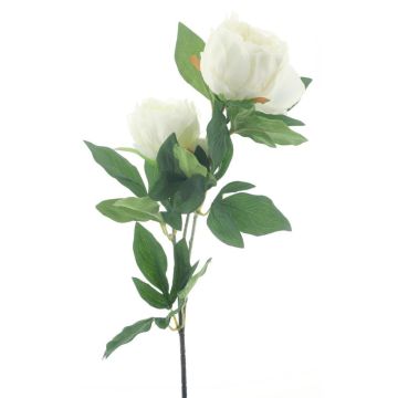 Branche de pivoine décorative THEMIA, crème, 65cm