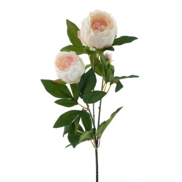 Branche de pivoine décorative THEMIA, crème-rose, 65cm