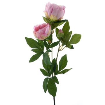 Branche de pivoine décorative THEMIA, rose, 65cm