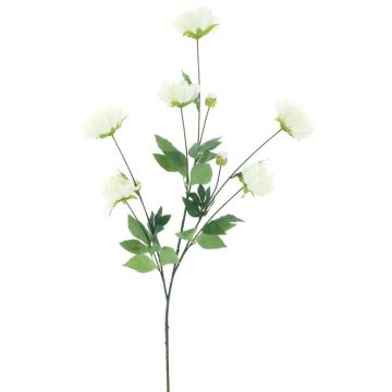 Branche de pivoine artificielle ARUMA, blanc, 125cm