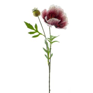 Coquelicot décoratif EDESSA, fuchsia-blanc, 80cm