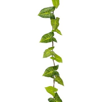 Guirlande artificielle de syngonium OSSIAN, vert, 185cm