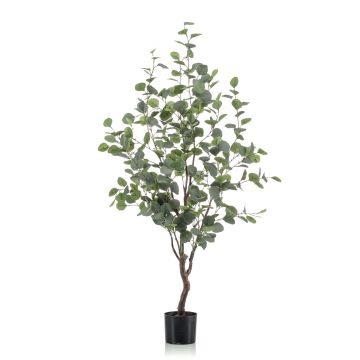 Eucalyptus artificiel ANUHEA, tronc artificiel, vert-gris, 120cm