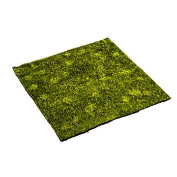 Tapis de mousse hypnum artificiel FERMIN, vert, 100x100cm