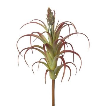 Plante succulente artificielle Tillandsia stricta KROST, piquet, fleur, vert-rouge, 23cm