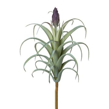 Plante succulente artificielle Tillandsia stricta KROST, piquet, fleur, vert-lilas, 23cm