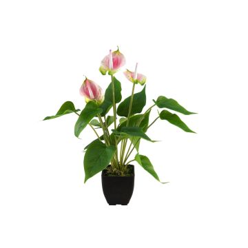 Anthurium artificiel ISABELITA dans un cache-pot, rose-blanc-vert, 40cm