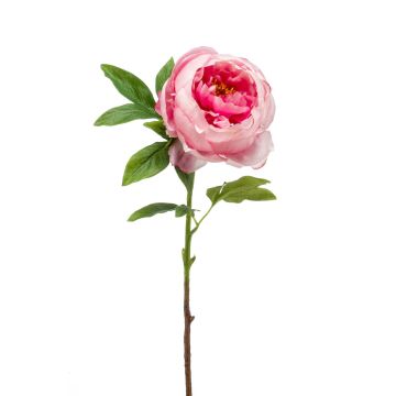 Pivoine artificielle BARBRO, rose-crème, 65cm