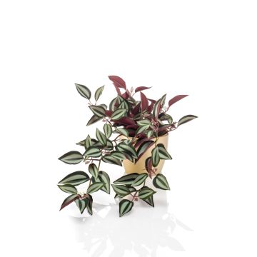 Tradescantia Zebrina artificiel MBARKA, pot en céramique doré, vert-rouge, 40cm