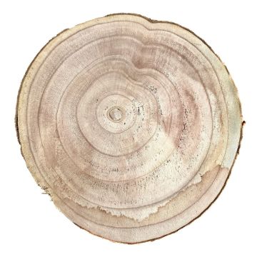 Rondelle en bois en paulownia JESSALYN, naturel, Ø38-40cm