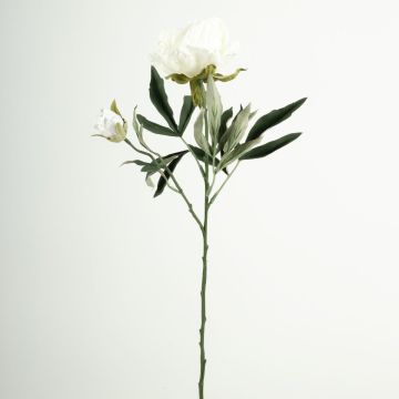 Branche fleurie artificielle Pivoine GALENE, collection écologique, blanc-lilas, 65cm, Ø10cm