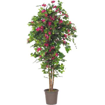 Bougainvillée décorative INGELOTTE, troncs en bois véritable, fleurs, rose fuchsia, 100cm - Made in Italy