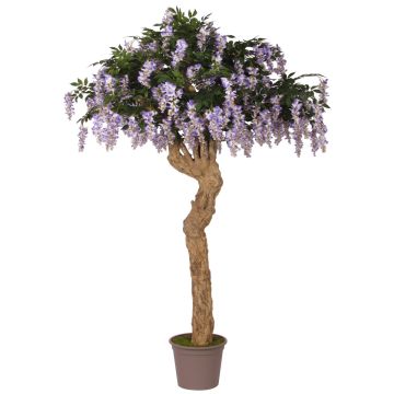 Künstlicher Blauregen ANSELMO, Echtstamm, mit Blüten, lila, 250cm, Ø180cm - Made in Italy