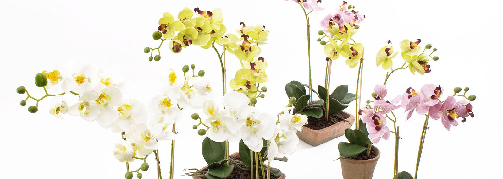 Orchidées artificielles